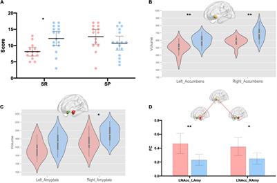 Dialectical Thinking Is Linked With Smaller Left Nucleus Accumbens and Right Amygdala